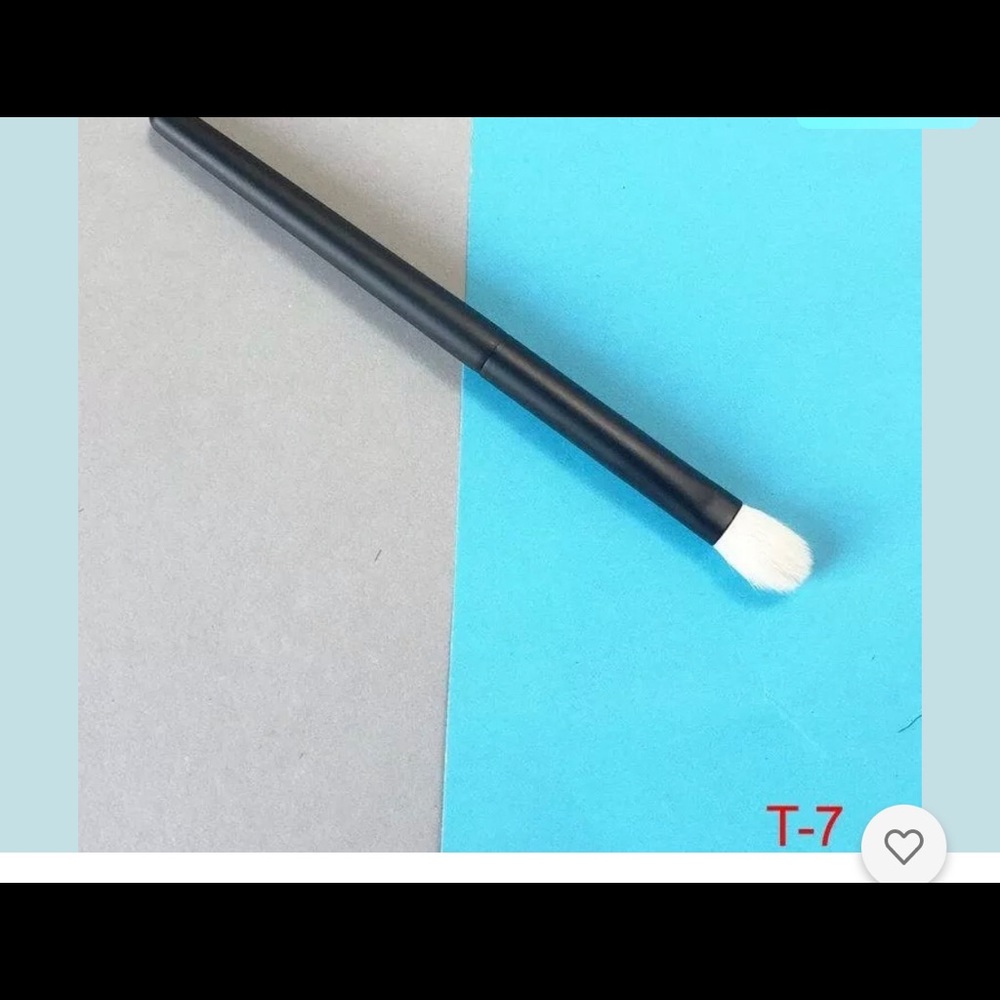 chikuhodo takumi t 7 eyeshadow brush